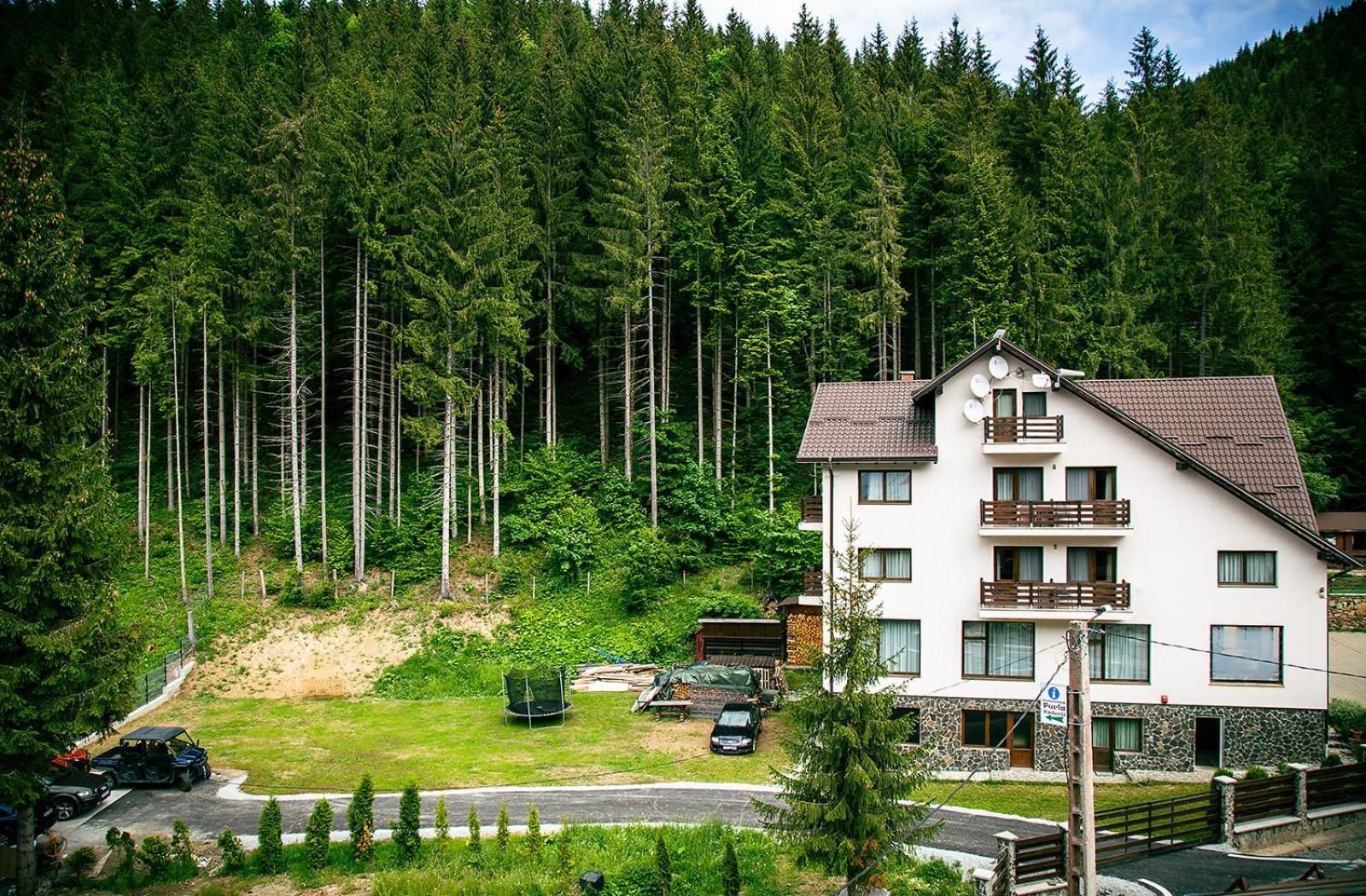 Perla Padurii Hotel Valea Mare  Ngoại thất bức ảnh