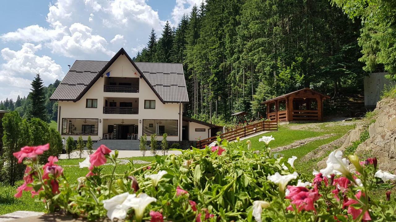 Perla Padurii Hotel Valea Mare  Ngoại thất bức ảnh
